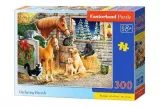 puzzle-300-gathering-friends-castor