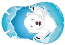 ortopad-mis-polarny-junior-10-szt-plastry-na-oko