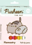 flamastry-12-kolorow-pusheen-stan-nowy
