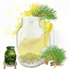 sloiki-3000ml-3l-soki-ogorki-kiszone-grzyby-nalewki-10sztuk-100mm-pzh