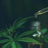 selective-hemp-vegan-odzywka-elixir-50ml-produkt-nie-zawiera-skladnikow-pochodzenia-zwierzecego