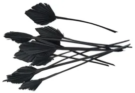 wachlarz-palm-spear-czarne-strzalka-wachlarze-7-12-cm-susz-egzotyczny-x10