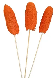 luffa-lufa-pomaranczowa-lufy-na-patyku-10cm-3-sztuki-susz-egzotyczny
