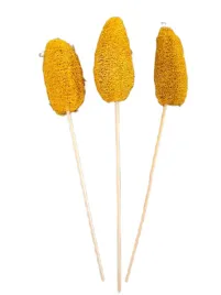 luffa-lufa-zolta-lufy-na-patyku-10cm-3-sztuki-susz-egzotyczny