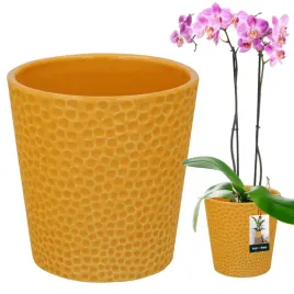 doniczka-donica-fi95-oslonka-musztarda-ceramiczna-kwiaty-rosliny-storczyki