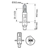 philips-55-w-12258wvusm-2-szt-waga-z-opakowaniem-0-07-kg