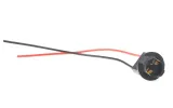 gniazdo-t10