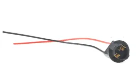 gniazdo-t10