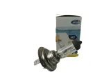 2xnarva-h7-12v-55w-px26d-48328-stan-nowy-moc-55-w