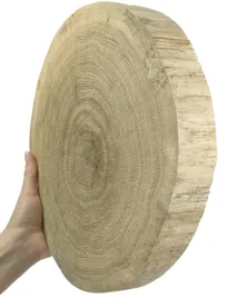 plaster-drewna-debowy-plaster-szlifowany-krazek-drewniany-20-25cm-gr-4cmdab