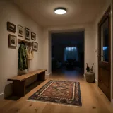 horoz-plafon-led-lampa-sufitowa-okragla-catalina-12w-3cct-12cm-czarny-material-dominujacy-tworzywo-sztuczne