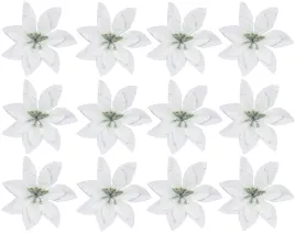 gwiazda-betlejemska-biala-ze-srebrnym-brokatem-14-cm-poinsecja-12-sztuk