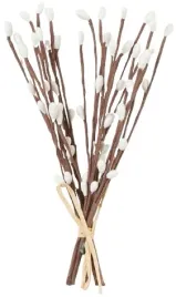 bazia-wielkanocna-15-cm-bazie-peczek-20-sztuk-biale-kotki-palma-wielkanoc