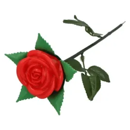 roza-swiecaca-zmieniajaca-kolor-walentynki-czerwon
