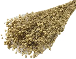 len-zloty-brokatowy-40-cm-klosy-peczek-susz-naturalny-60-sztuk-dekoracja