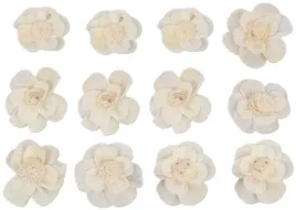 shola-potea-4-cm-bialy-kwiat-kwiatek-12-sztuk-szola-kwiatki-susz-egzotyczny