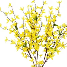 bukiet-forsycji-forsycja-galazka-zolta-galazki-wielkanoc-73cm-wiosna-ozodba