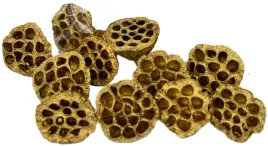 lotos-zloty-6-8cm-10-sztuk-kwiaty-lotosu-ozlocone-susz-egzotyczny-dekoracja