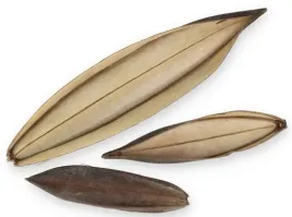 coco-boat-mini-lodka-kokosowa-luska-stroik-10-15-cm-susz-egzotyczny