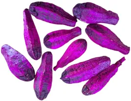 mehogani-tykwa-amarantowa-10-sztuk-8-12-cm-susz-egzotyczny-mehogany-fuksja
