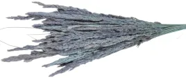 trawa-lesna-naturalna-suszona-stroik-palma-susz-40cm-peczek-wielkanoc-50szt