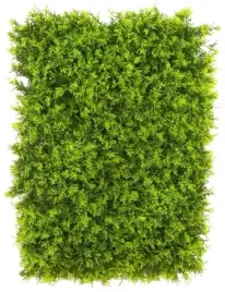 mata-cyprysowa-60-x-40cm-zielone-liscie-podklad-pod-stroik-cyprys-wielkanoc