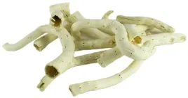 pepecone-wybielany-10-sztuk-8-15-cm-pepe-cone-korzonki-chrzany-chrzan-susz