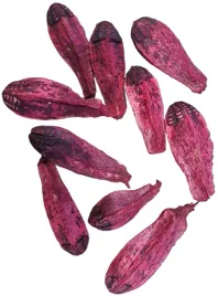mehogani-tykwa-czerwona-10-sztuk-8-12-cm-susz-egzotyczny-mehogany-na-stroik