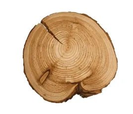 plaster-modrzewia-plaster-drewna-z-kora-modrzew-szlif-unikat-25-30cm132258