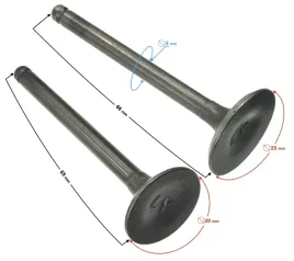 zawory-110cc-do-silnika-bts