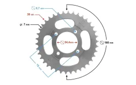 zebatka-tylna-moretti-38-428-do-ogar