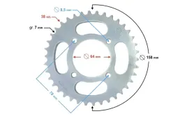 zebatka-tylna-38-428