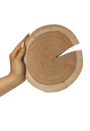 plaster-drewna-plaster-czeremchy-okorowany-krazek-szlifowany-20-25cm-gr-2cm
