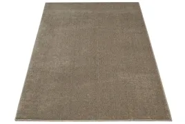 brazowy-miekki-dywan-eternity-na-filcu-do-salonu-lsniace-runo-100x150-cm
