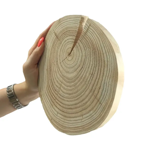 Plaster drewna okorowany MODRZEW krążek drewniany szlifowany 15-20cm gr.3cm