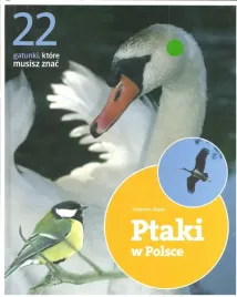 ptaki-w-polsce-slawomir-wasik