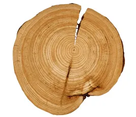 plaster-modrzewia-krazek-drewna-bez-kory-modrzew-szlif-unikat-30-35cm133133