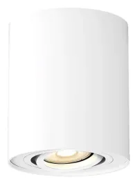 lampa-oprawa-sufitowa-punktowa-regulowana-biala-okragla-tuba-spot-rabalux