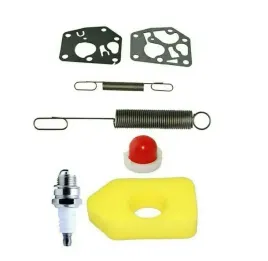 zestaw-filtr-membrany-sprezynki-do-briggs-stratton