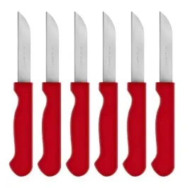 noz-kuchenny-do-warzyw-komplet-6-szt-nozyki-uniwersalne-kolorowe