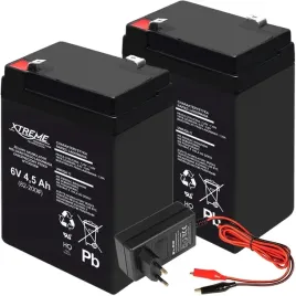 2x-akumulator-zelowy-bezobslugowy-6v-45ah-wymiar-4ah-ladowarka-12v-2a