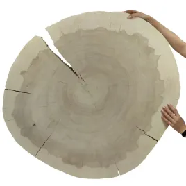 plaster-drewna-topoli-blat-drewniany-na-stolik-kawowy-topola-unikat-145011