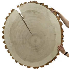 plaster-drewna-topoli-blat-drewniany-na-stolik-kawowy-topola-unikat-090505