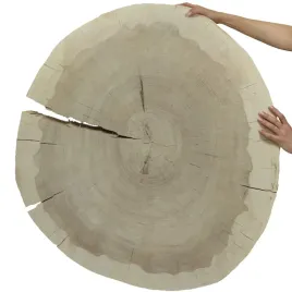 plaster-drewna-topoli-blat-drewniany-na-stolik-kawowy-topola-unikat-150146