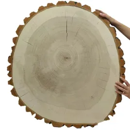 plaster-drewna-topoli-blat-drewniany-na-stolik-kawowy-topola-unikat-091653