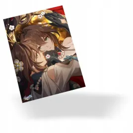plakat-honkai-star-rail-ruan-mei-do-wyboru