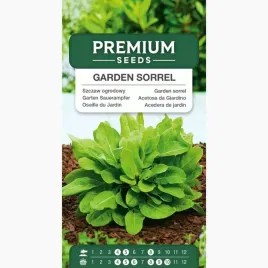 nasiona-szczaw-ogrodowy-zwyczajny-garden-sorrel-warzywa-premium-seeds-3-g