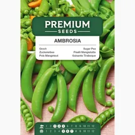 nasiona-groch-ambrosia-cukrowy-do-gruntu-do-gleby-ogrod-premium-seeds-50-g