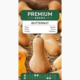 nasiona-dyni-butternut-dynia-pizmowa-warzywa-ogrod-uprawa-premium-seeds-2-g