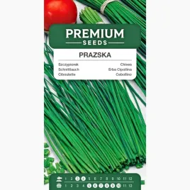 nasiona-szczypiorek-prazska-wieloletnia-ogrod-na-parapet-premium-seeds-2-g